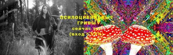 ешки Алексеевка